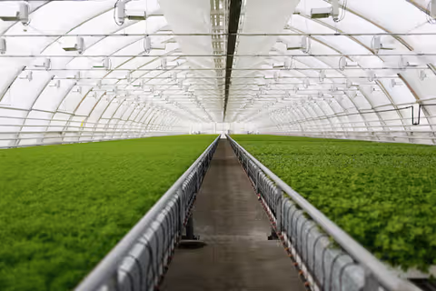 Hydroponic Farming Equipment Resources: Advice, Knowledge, and Practical Recommendations