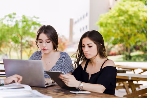 University Application Consulting: Explore Admissions, Documents and Application Steps