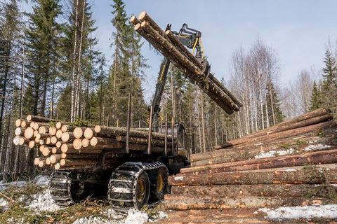 A Professional Guide to Forestry Logging Machines: Advanced Harvesting Techniques and Best Practices